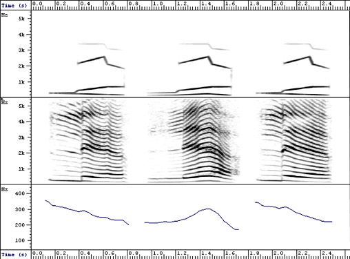 Fundamental Frequency And Harmonics Speech