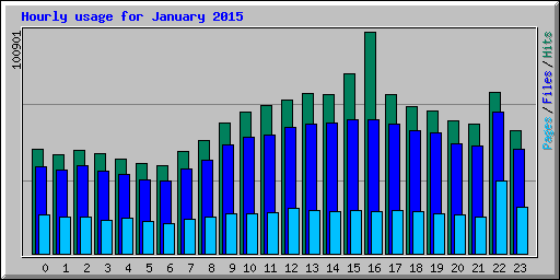 Hourly usage for January 2015