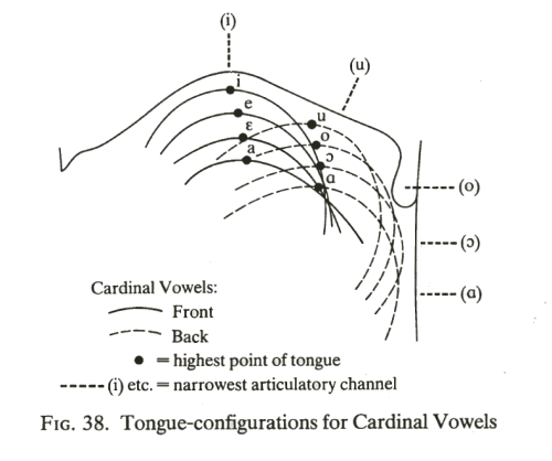 Tongue Placement Chart