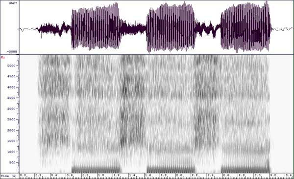 spectrogram[fvfvfv]