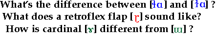 What's the difference between [l-with-a-looped-belt]
and [l-with-a-swung-crossbar]; -- what does a retroflex flap sound like? -- how is cardinal 15 (ram's-horns) different from card. 16 (turned m)?