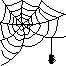 WWW